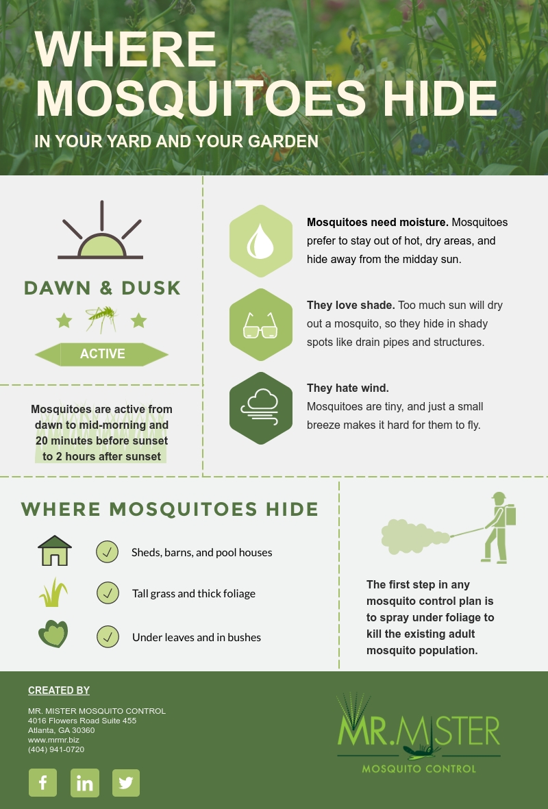 Where do mosquitoes live in backyard?