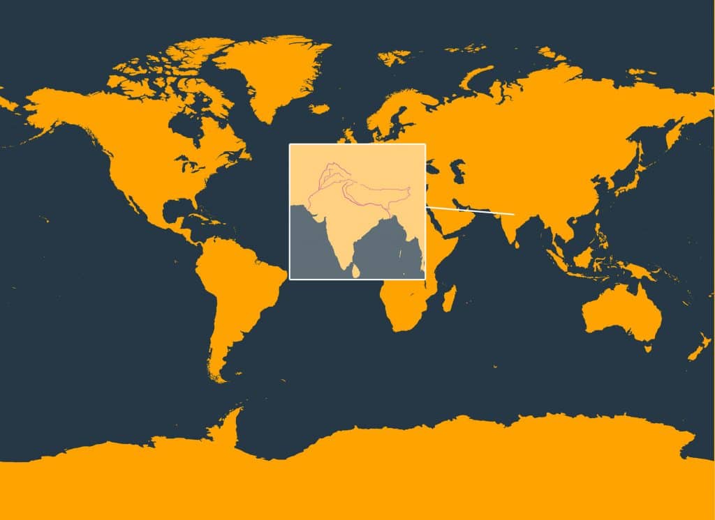 Where do river dolphins live in South Asia?