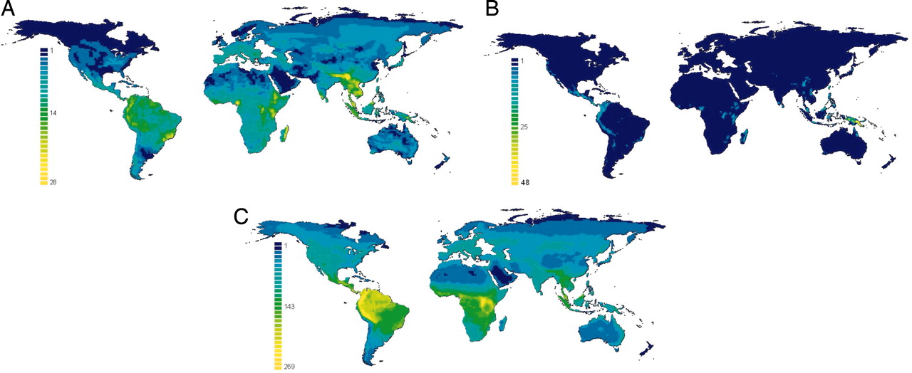 Where is the highest mammal diversity?