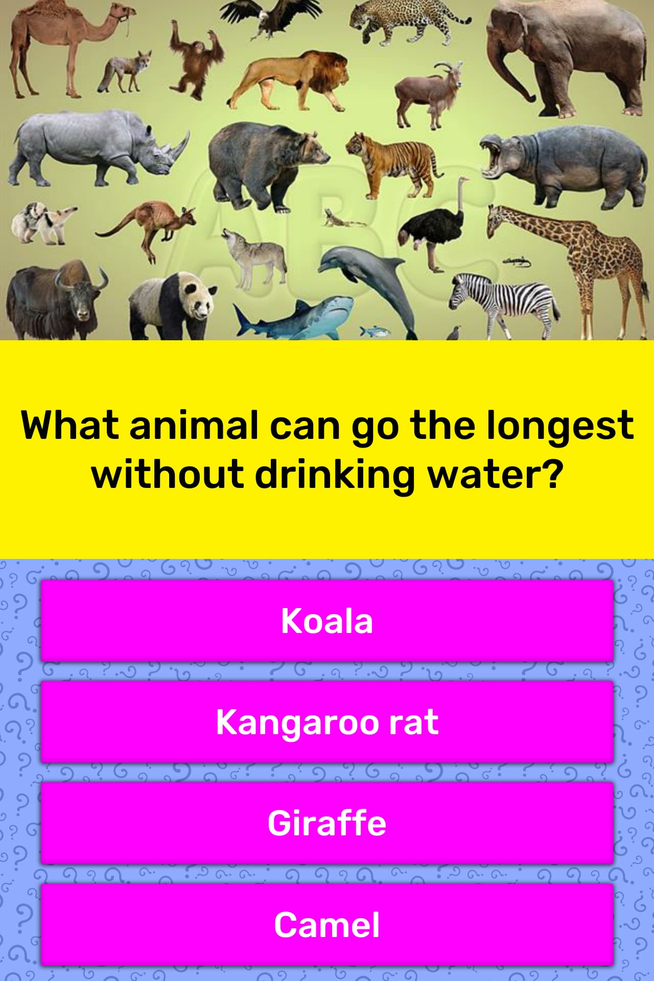 Which animals can go longest without water?