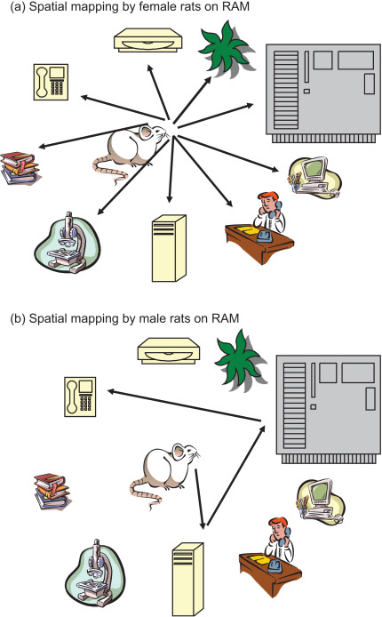 Which are the test is used to measure working memory in animals?