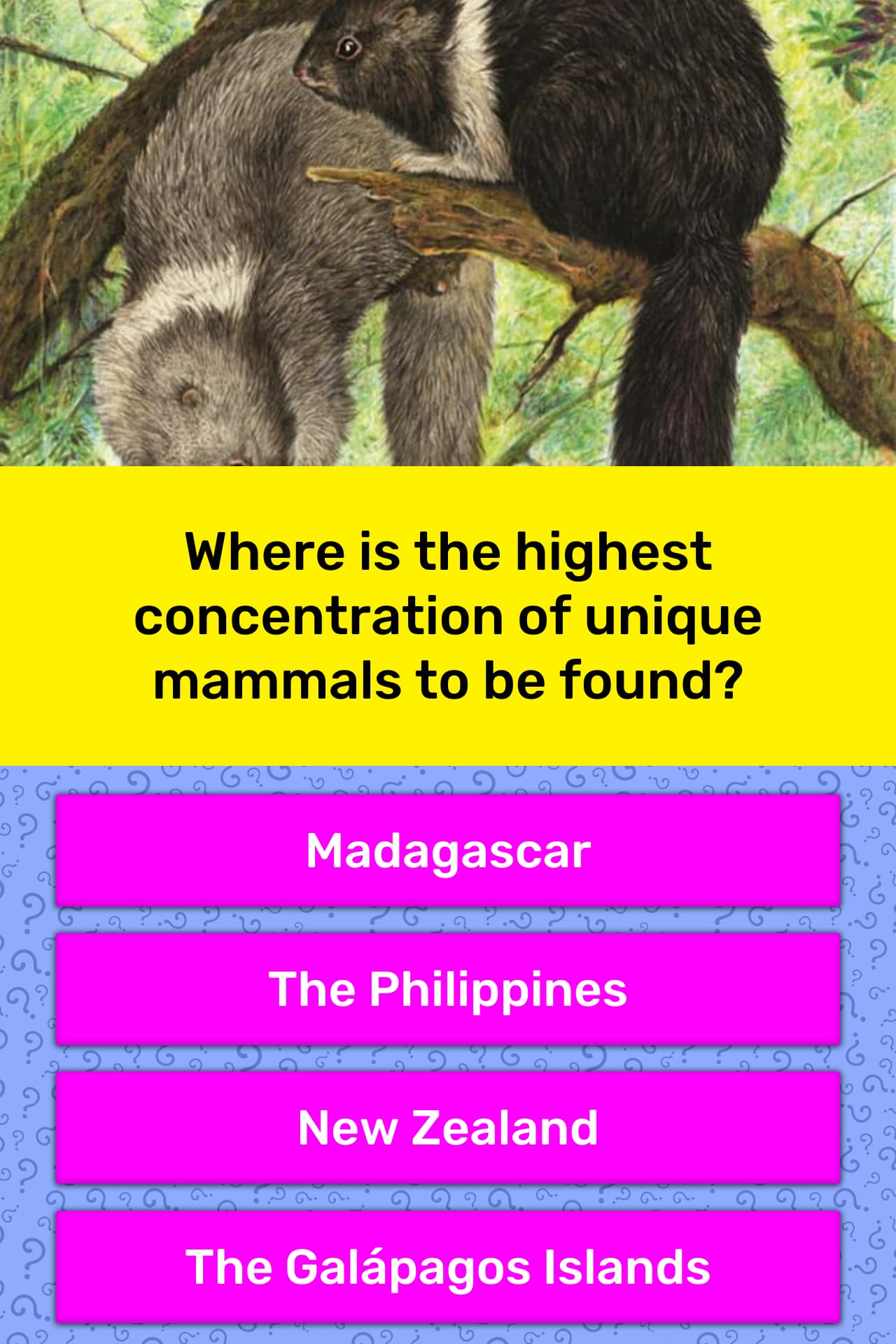 Which area has the highest concentration of large mammals?