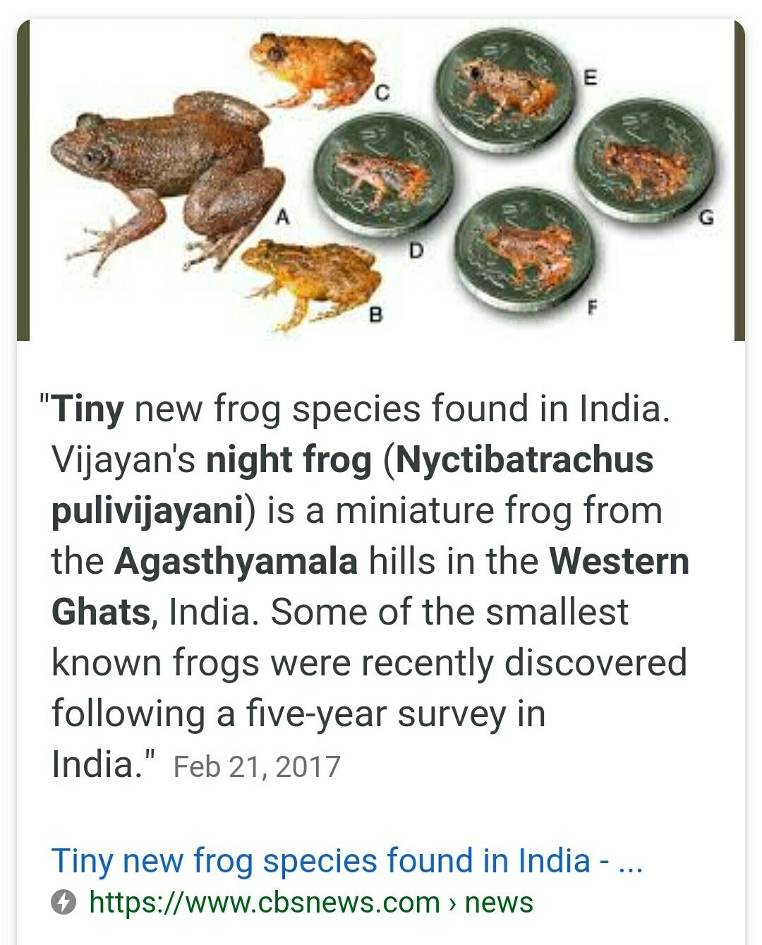 Which is the scientific name of frog *?