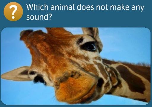 Which mammal does not make a noise?