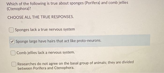 Which of the following is true about sponges?