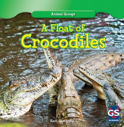 Why are groups of crocodiles called a bask?