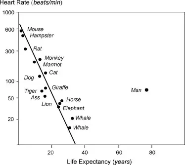 Why do smaller animals have higher heart rates? Why do smaller animals have higher heart rates?