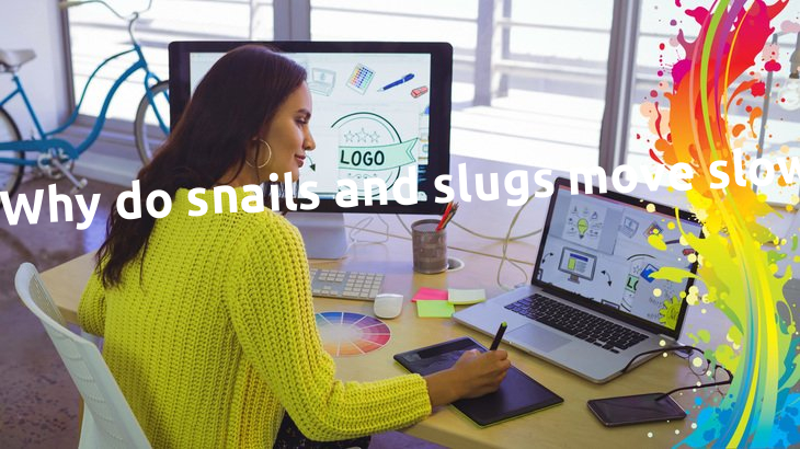 Why do snails and slugs move slowly?