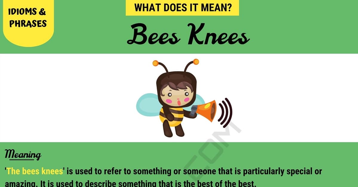 Why do they say bees knees?