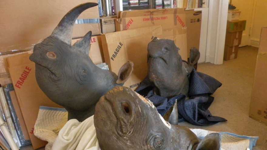 Why does a rhino horn cost $300 000?