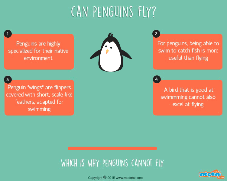 Why don't Penguins fly?
