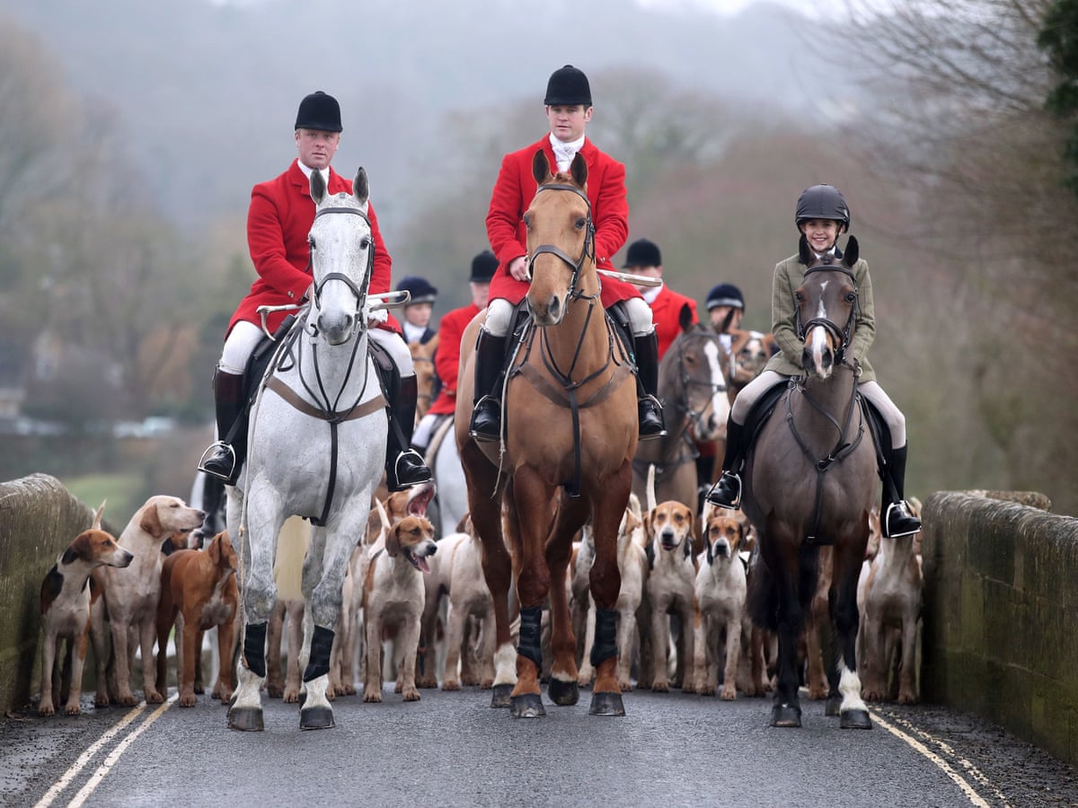 Why is fox hunting illegal?