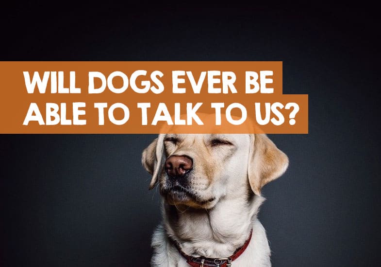 Will dogs ever be able to talk?